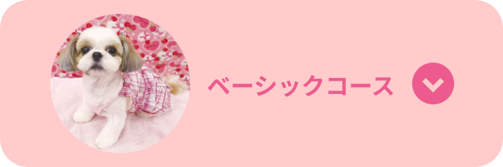 ベーシックコース