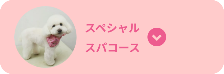 スペシャルスパコース