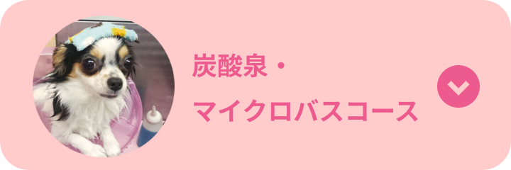 炭酸泉・マイクロバスコース