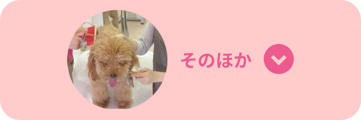 そのほか