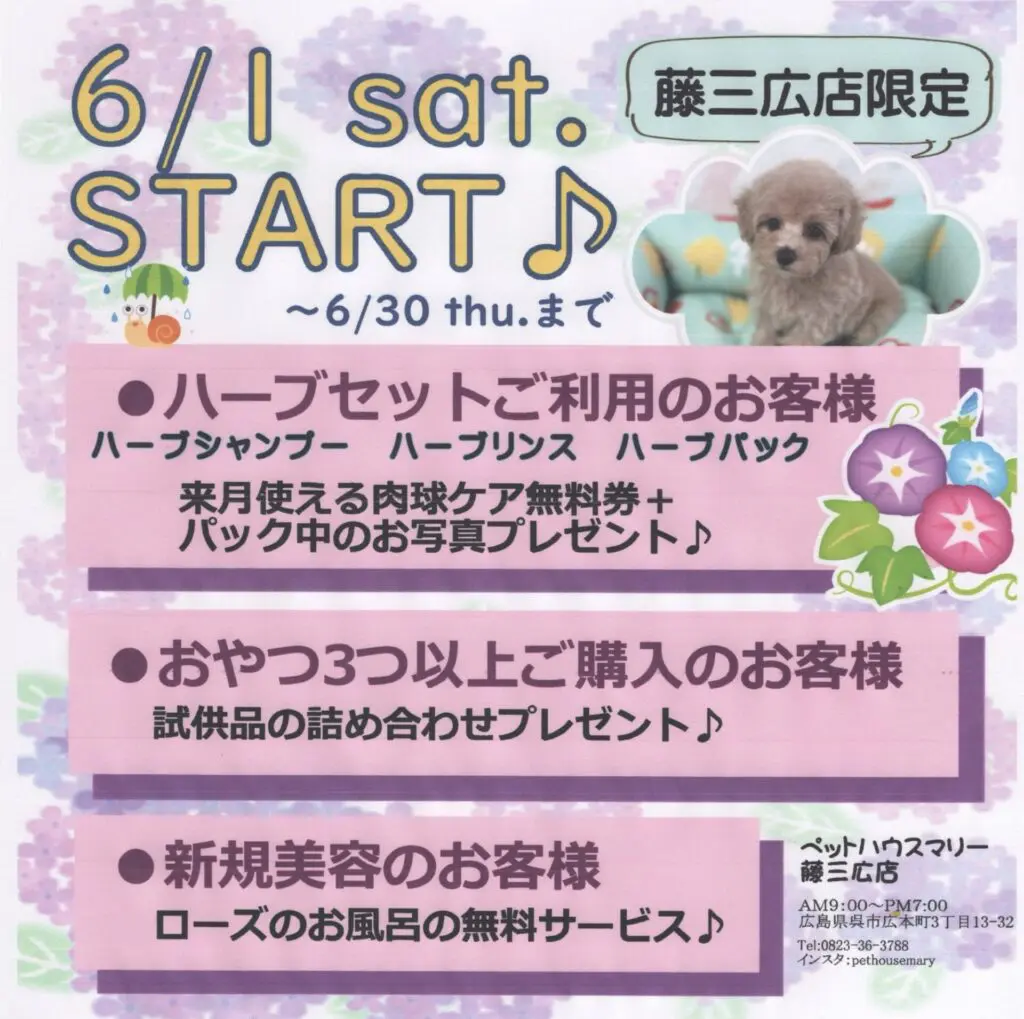 6月イベントのお知らせ！ - ペットハウスマリー